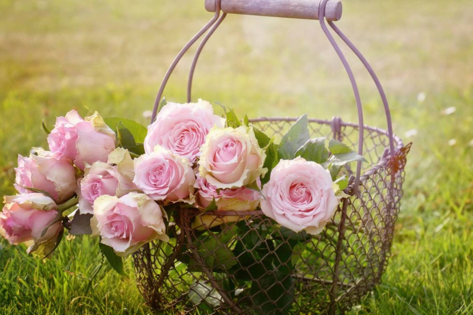 Romantyczny wieczór w Zamku Karpniki