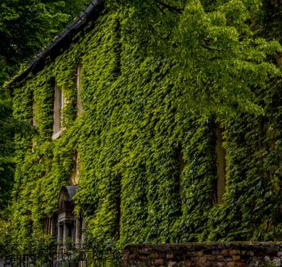 Wielkanoc w Pałacu Staniszów