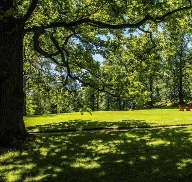 Dzień Kobiet  - Kobiecy weekend relaksu i inspiracji