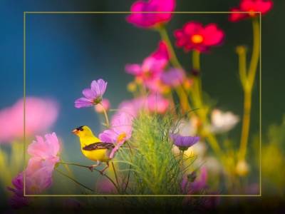 długi weekend czerwcowy