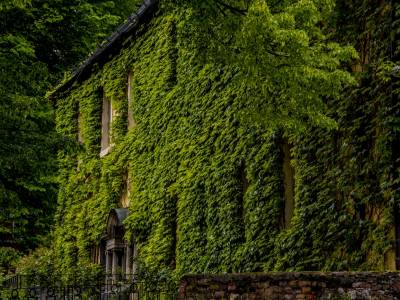 Wielkanoc w Pałacu Staniszów