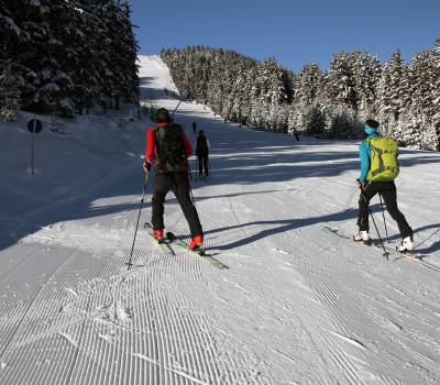 Pakiet AKTYWNY SENIOR