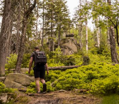 Wiosna w Górach 2026