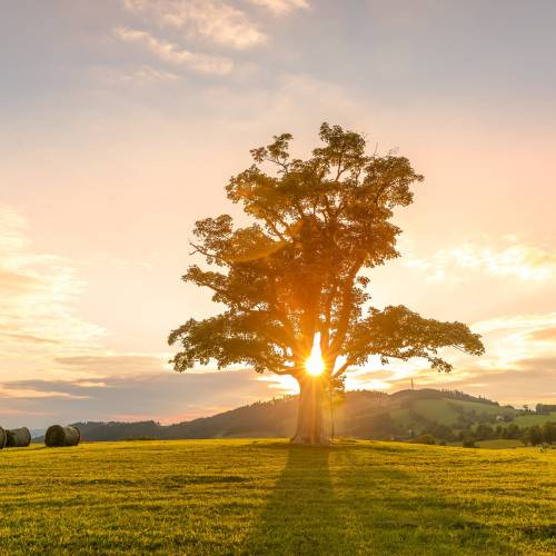 Śnieżynka - Dom Wczasowy