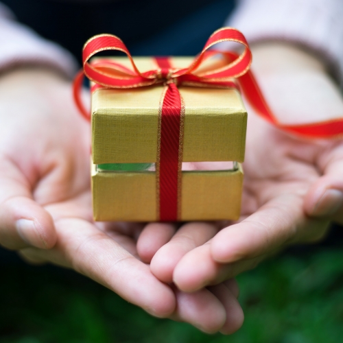 Śnieżynka - Dom Wczasowy