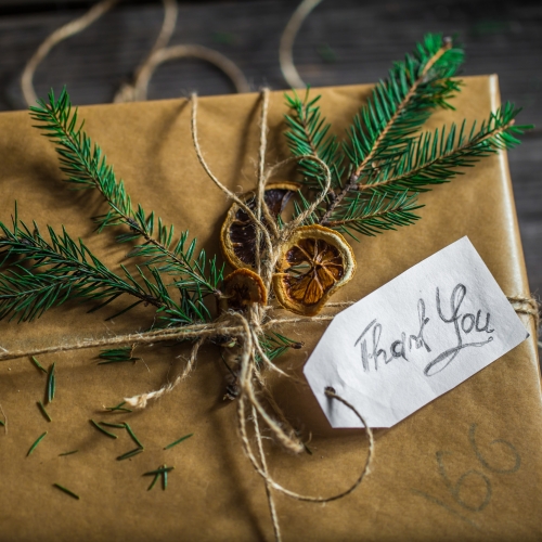 Śnieżynka - Dom Wczasowy