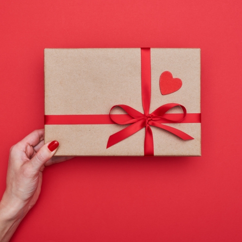 Śnieżynka - Dom Wczasowy