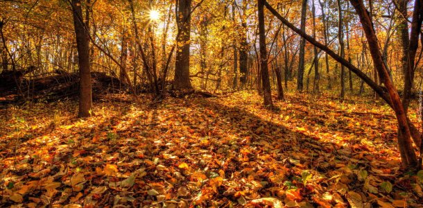 Autumn relaxation in the Karpniki Castle