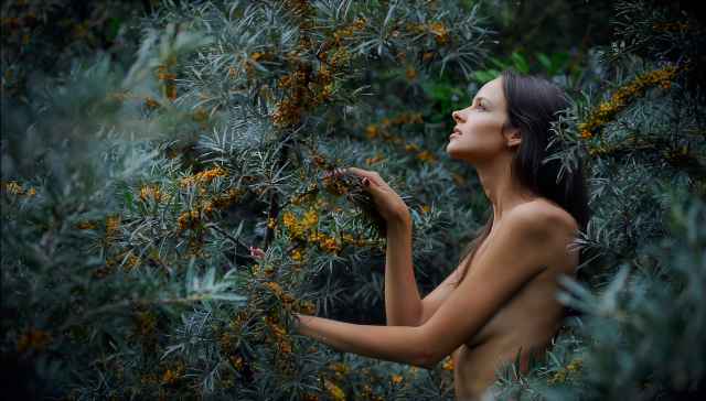 Pakiety  - header